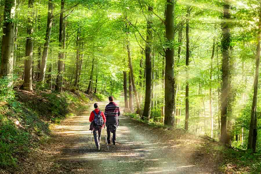 With Weathers: A man and a women walking on a walking trace in leisure mood