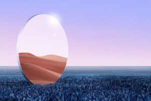 Renewal 's Reflections