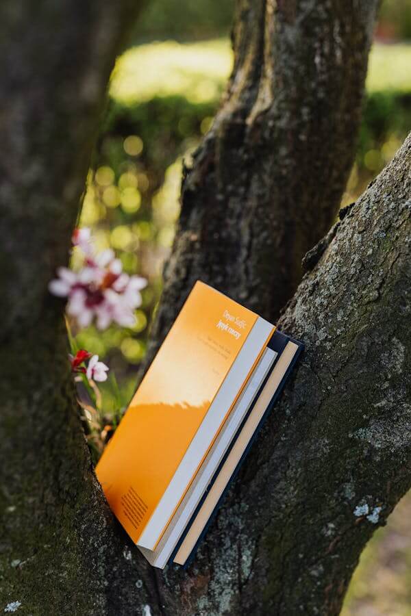 Books placed between branches of blossoming tree