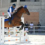 Man Riding on Brown Horse