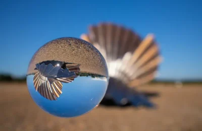 Sky and land reflection in a glass ball