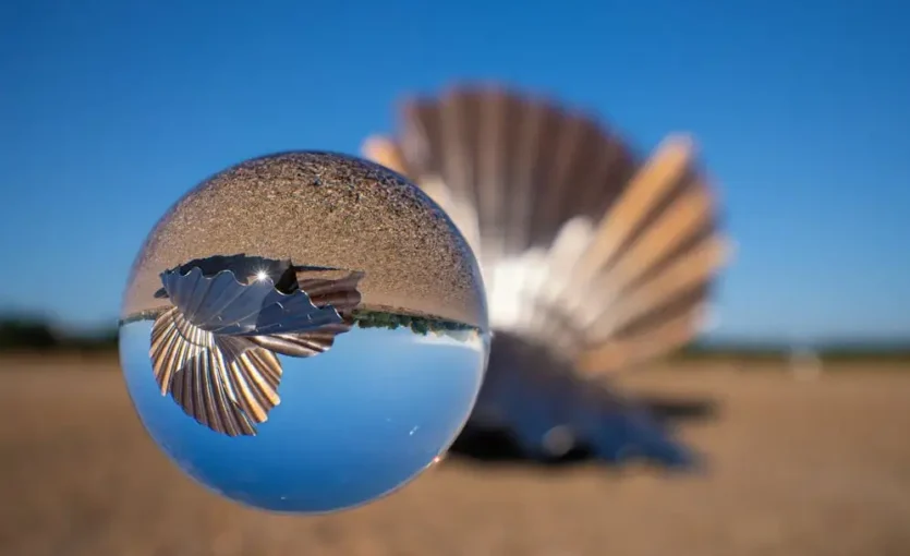 Sky and land reflection in a glass ball