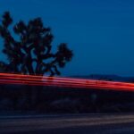 Bright flashlights glow at night national park