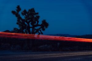 Bright flashlights glow at night national park