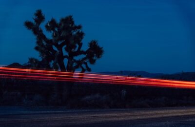 Bright flashlights glow at night national park