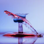 Close-up Photo of Water Drop