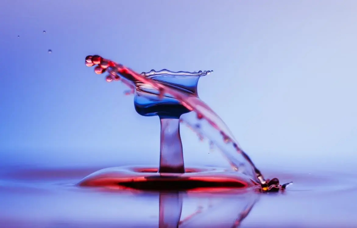 Close-up Photo of Water Drop