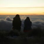 Silhouette of Two People Sitting on a Grassy Field