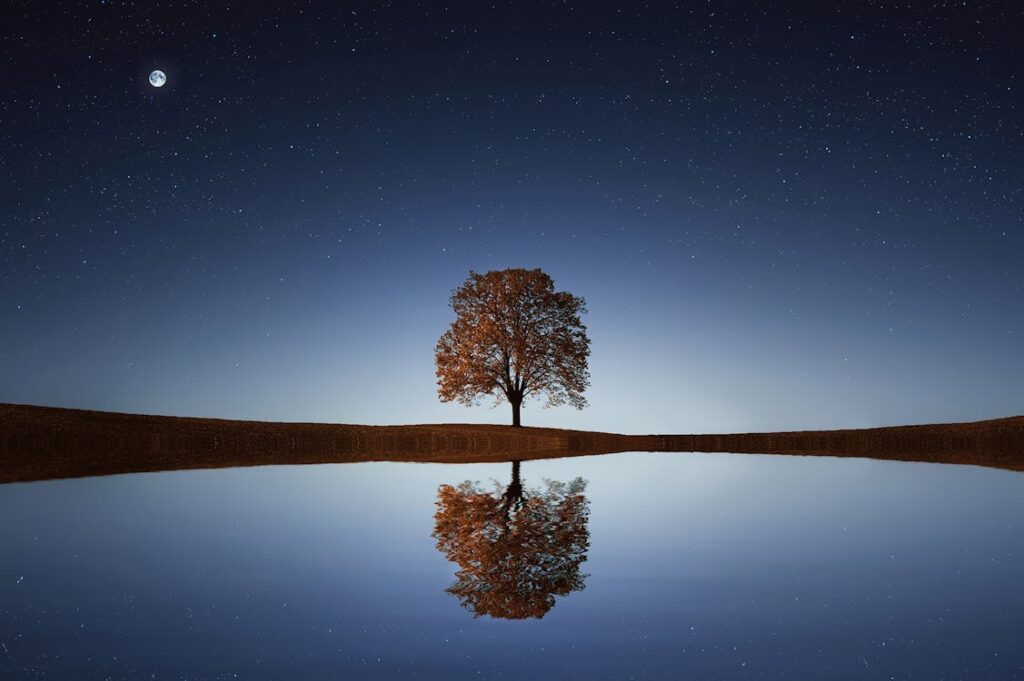 Existentialism Meaning