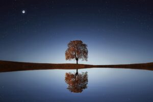 Existentialism Meaning