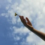 White flower in a hand raising in sky