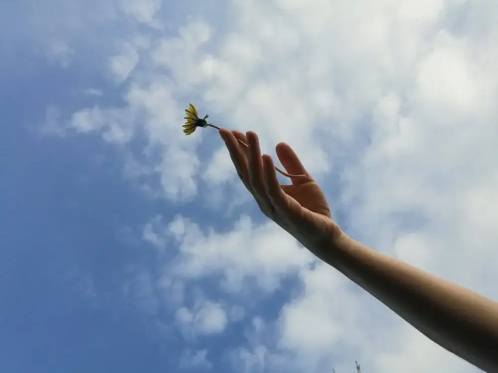 White flower in a hand raising in sky