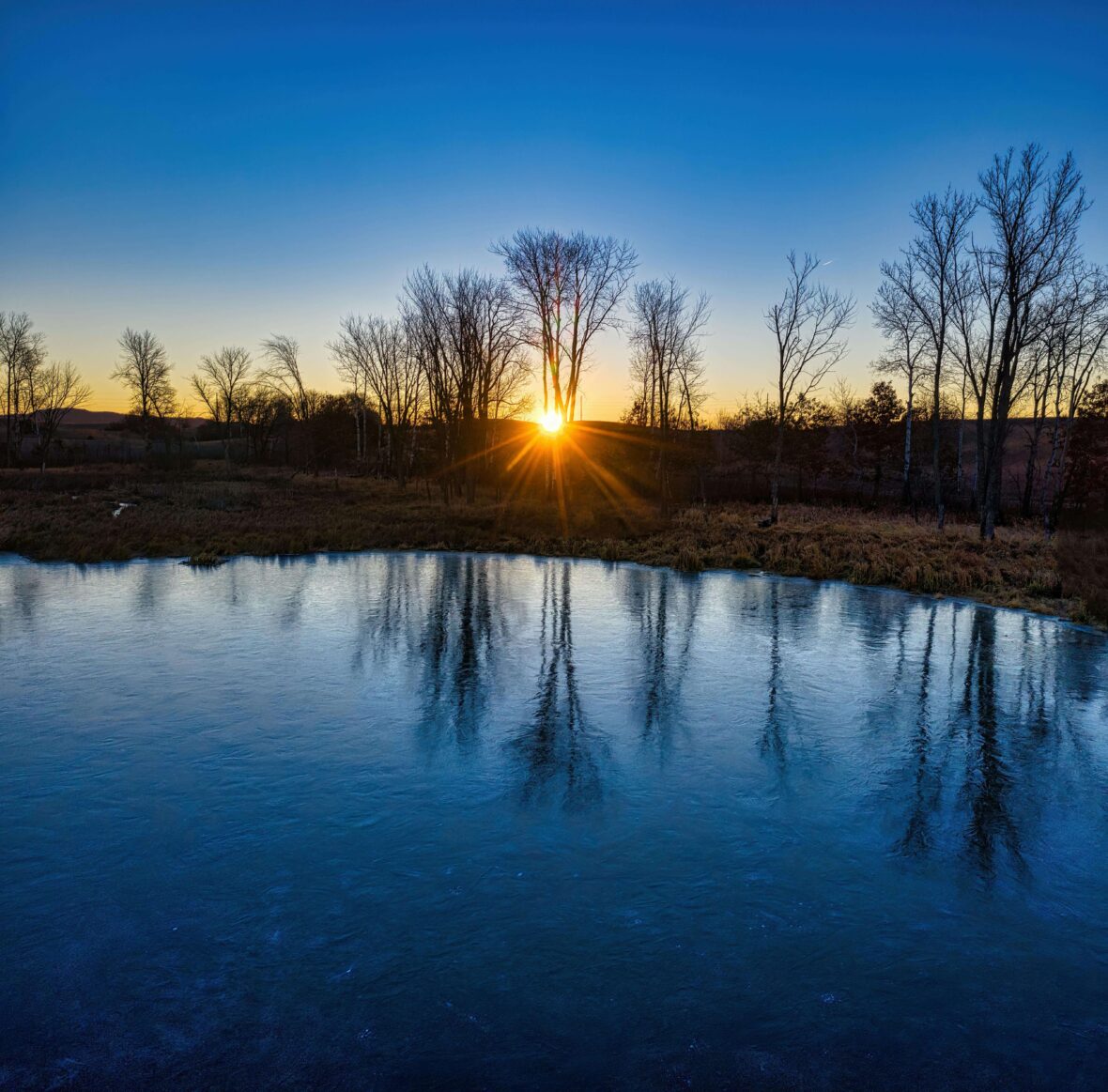 A nature scene