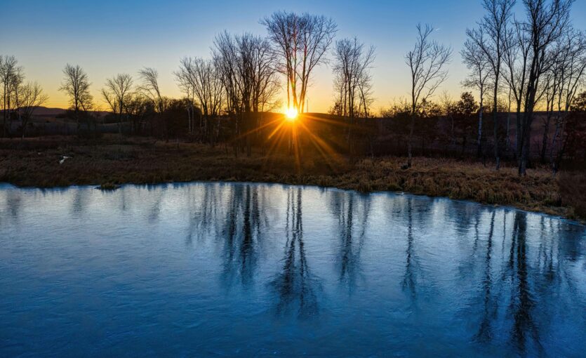 A nature scene